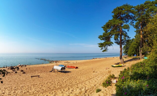 De zandkust van de Golf van Finland in het Repino-gebied