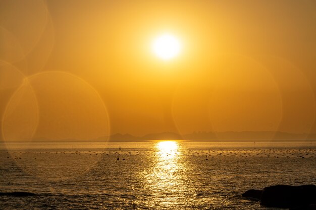 Foto de zee onder de ondergaande zon is goudkleurig en de zon is als een eigeel