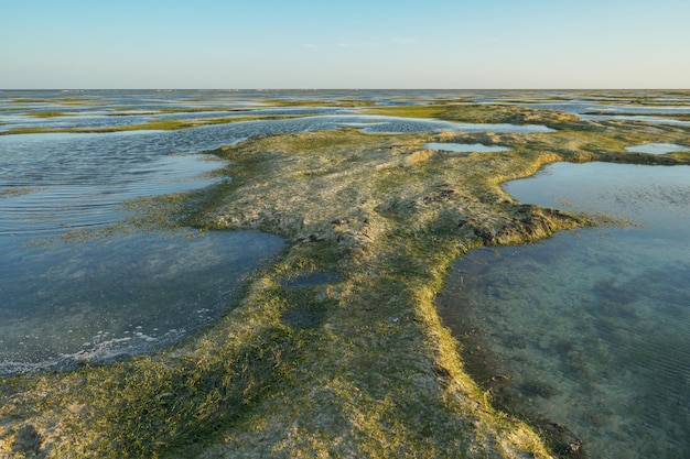 de zee trekt zich in de middag terug