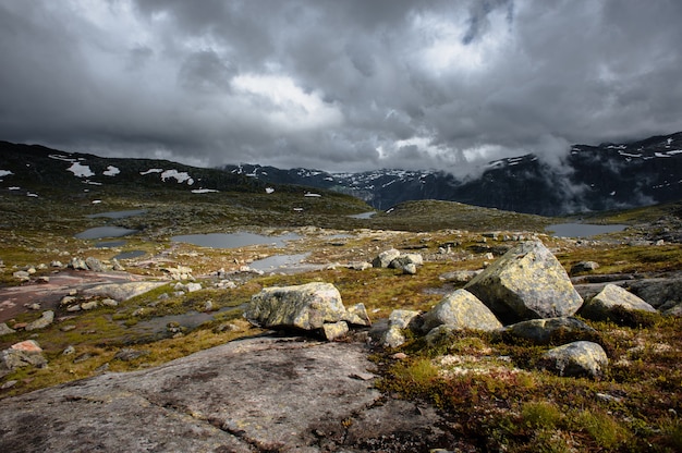 De zomermening van Trolltunga in Odda, Ringedalsvatnet-meer, Noorwegen.