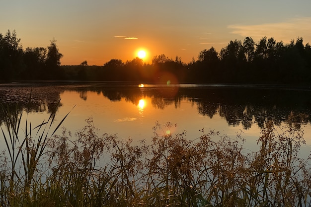 De zon gaat onder achter het bos aan de horizon reflecterend in stilstaand water zomerlandschap Grassilhouet op de voorgrond