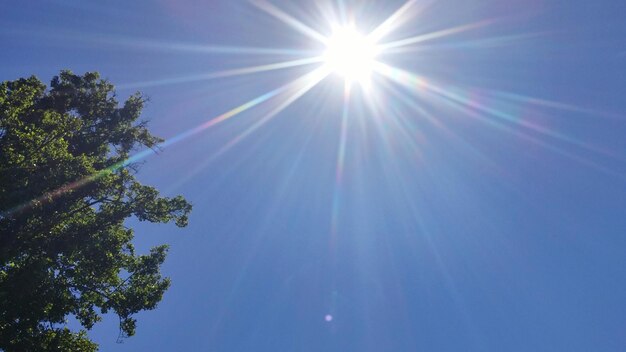 Foto de zon schijnt door de bomen.