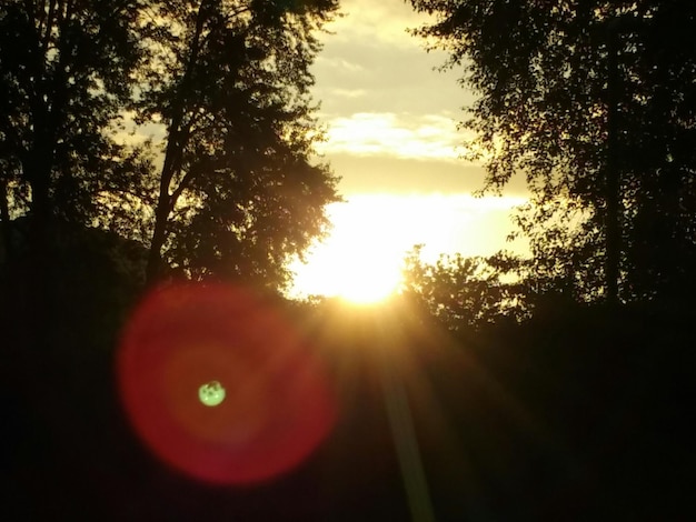 Foto de zon schijnt door de bomen.