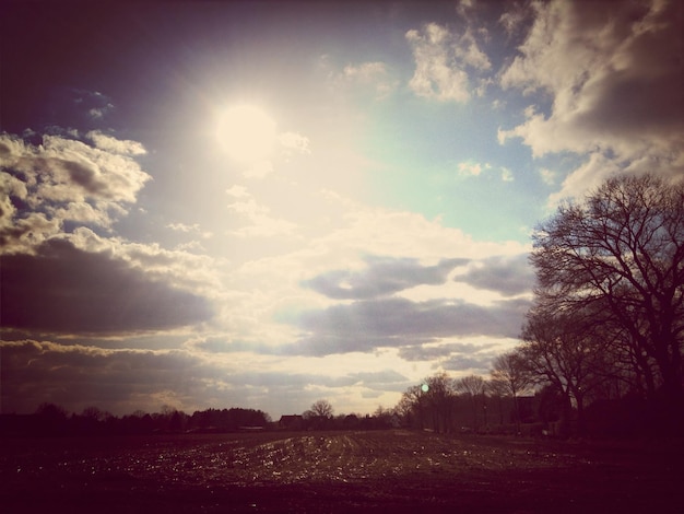 De zon schijnt door de bomen.