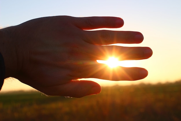 De zon schijnt door de palm en symboliseert hoop en vooruitzichten