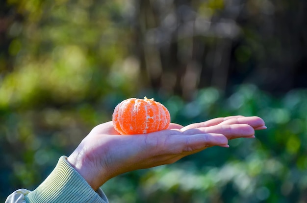 De zon verlicht door een schijfje mandarijn op een vrouwelijke hand