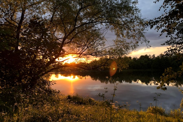 Foto de zonnestralen schijnen's avonds door de takken van de bomen en het gebladerte aan de oever van het meer.