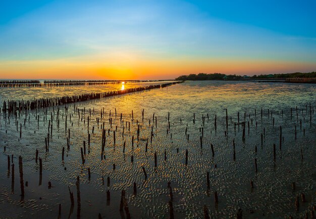 De zonsondergang aan zee door het eb dat de wetlands 's avonds zichtbaar zijn