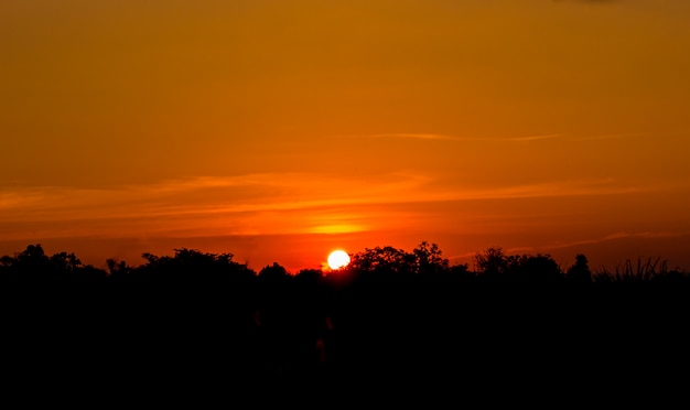 De zonsondergang op het bos heeft oranje hemel.