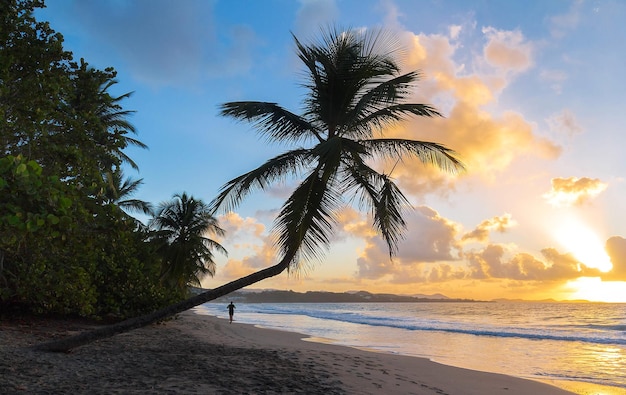 De zonsondergang op het eiland Martinique Frans-West-Indië