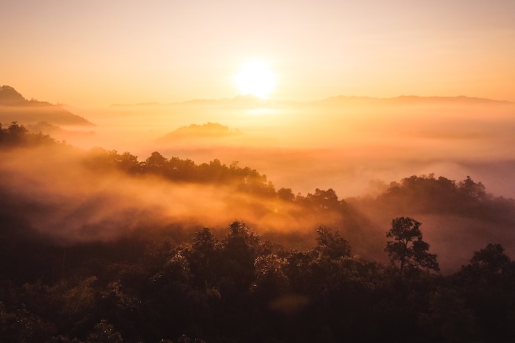 Foto de zonsopgang en de mist in het bos, warme zonneschijn in de ochtend
