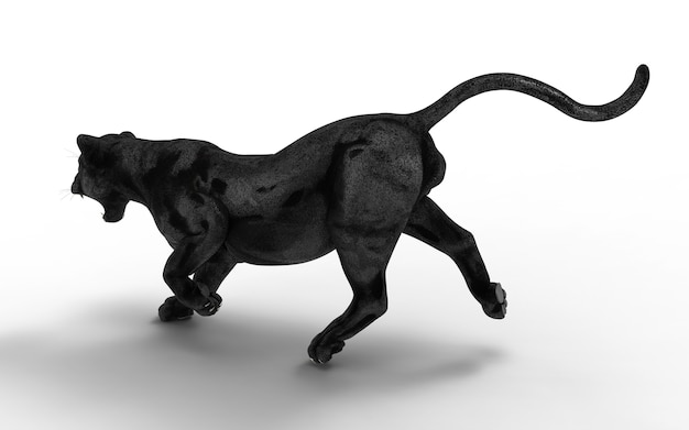 De zwarte panter isoleert op witte achtergrond, Zwarte tijger, 3d Illustratie, 3d geef terug