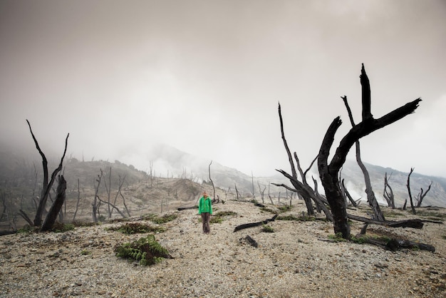 Dead forest near the volcano burnt forest in the fog