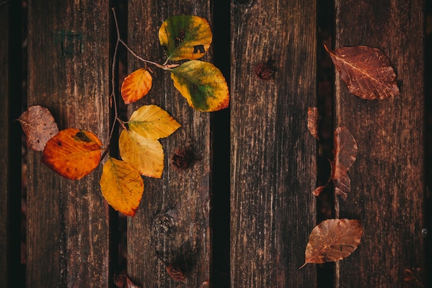 Dead leaves on the bench, Fall and autumn background