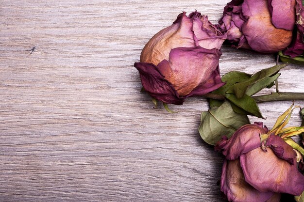 Dead roses on vintage wooden background in studio photo