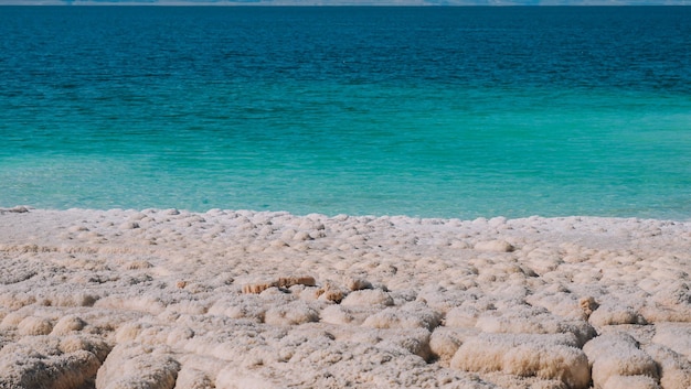 Dead sea on the beach with a beautiful blue sea