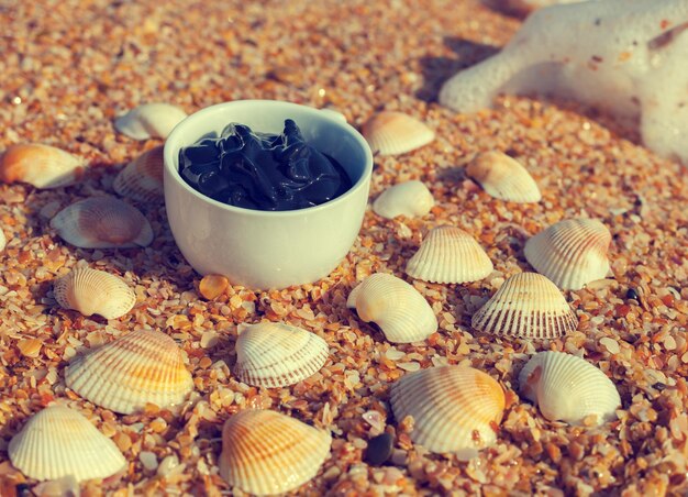 Dead Sea mud in a cup on the seashore