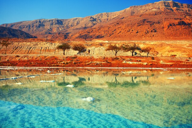 Dead sea salt shore