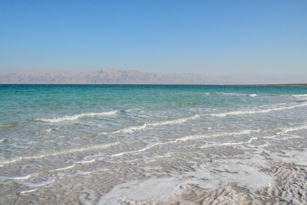 The Dead Sea