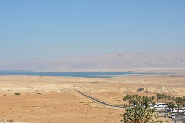 The Dead Sea