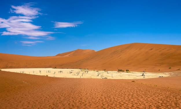 ナミビアのナミブ砂漠の枯れ木と Deadvlei