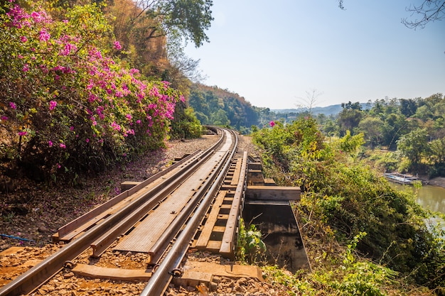 森を渡る死の鉄道