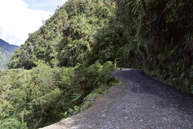 Death road Camino de la Muerte Yungas North Road between La Paz and Coroico Bolivia