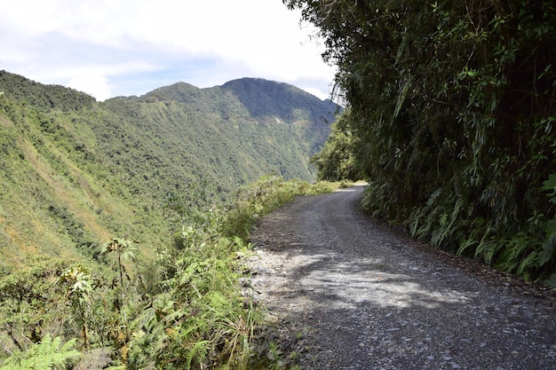 Death road Camino de la Muerte Yungas North Road between La Paz and Coroico Bolivia