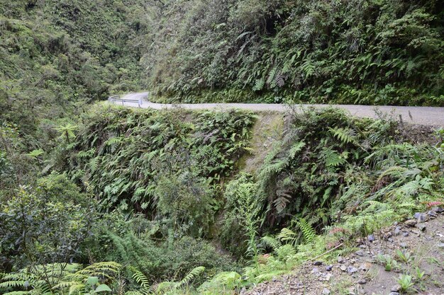 Death road Camino de la Muerte Yungas North Road between La Paz and Coroico Bolivia