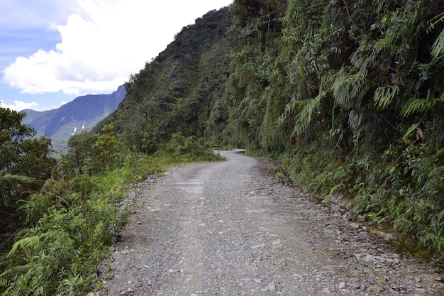 Death road Camino de la Muerte Yungas North Road between La Paz and Coroico Bolivia