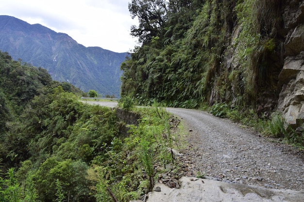 Strada della morte camino de la muerte yungas strada del nord tra la paz e coroico bolivia