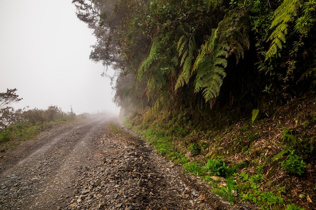 The Death Road the most dangerous road in the world North Yungas Bolivia