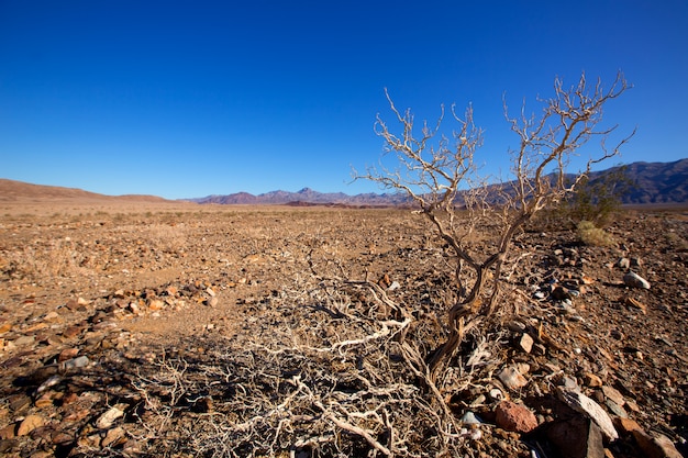 Death valley national park california corkscrew peak