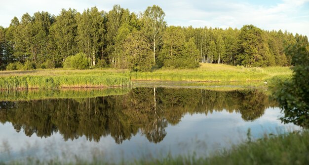 Deciduous forest is reflected in a water smooth surface of the lake