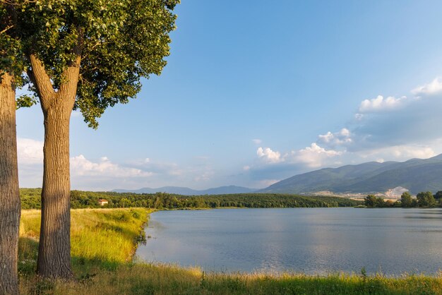 Deciduous trees grow on ledge above lake against backdrop of mountain range covered with vegetation and spruce forests