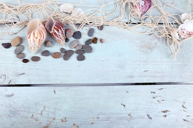 Decor of seashells closeup on blue wooden table