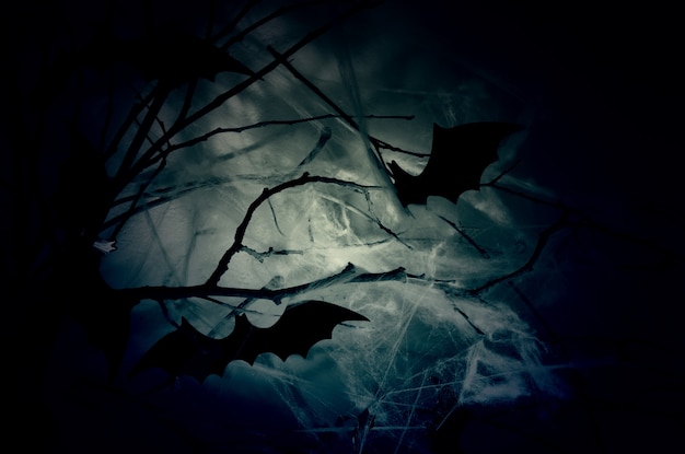 Decor of the silhouettes of bats on branches in a web in the night haze.