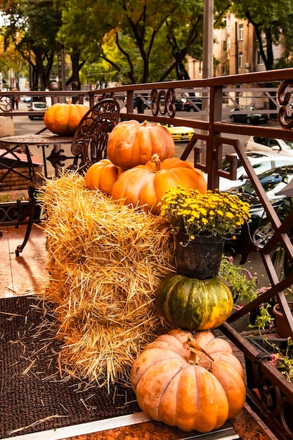 Foto decorazione con grandi zucche arancioni e un vaso di fiori per il giorno di tutti i santi e halloween