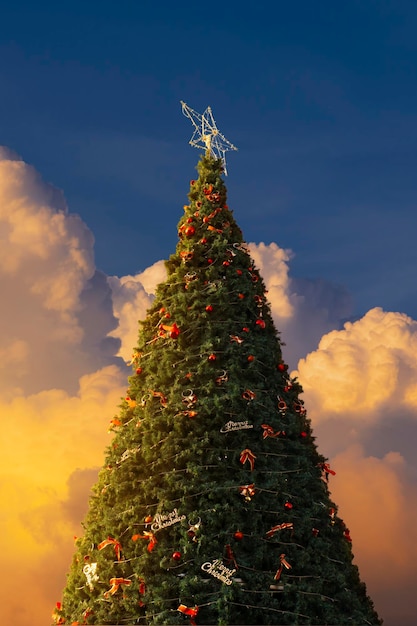 Photo decorate the christmas tree for celebration christmas festival and and golden sky background