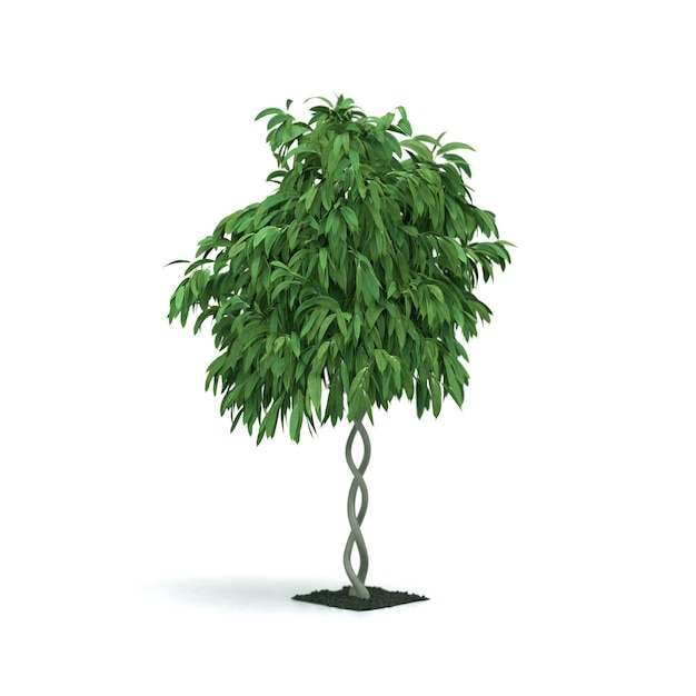 Decorate green tree 3D Rendering