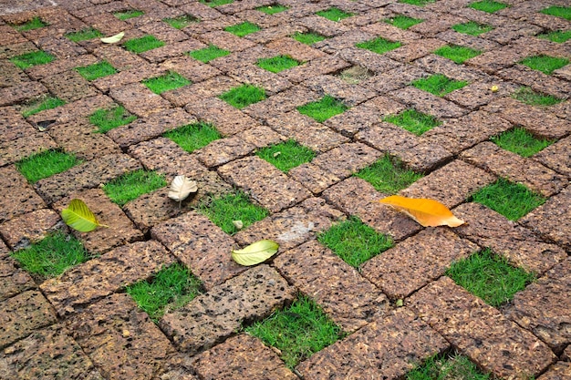 Decorate the lawn floor with brick.