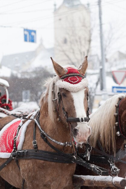 装飾されたクリスマスの馬と馬車。