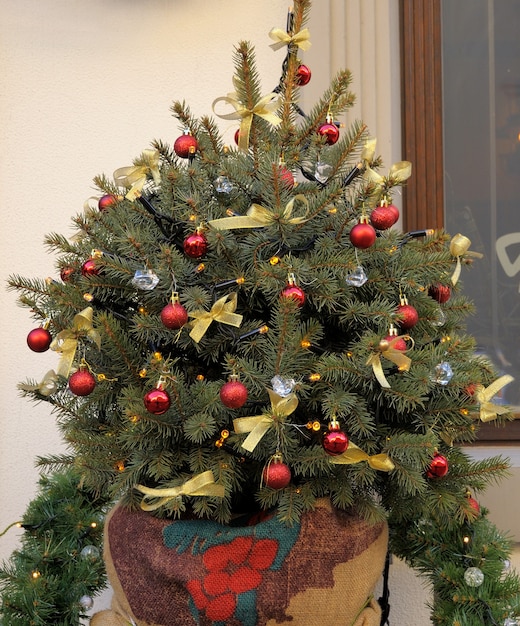 Decorated Christmas tree on a background of a wall