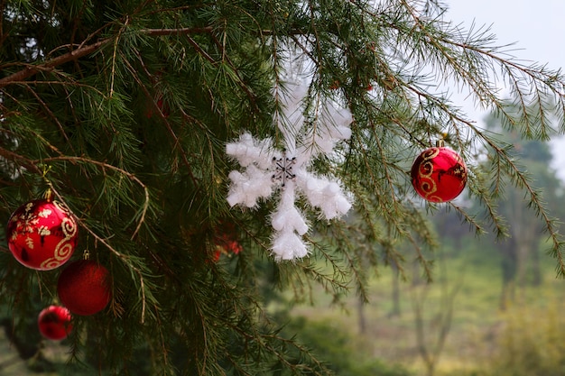 Decorated christmas tree in China