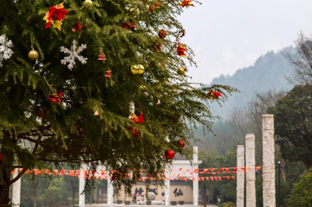 Decorated christmas tree in China