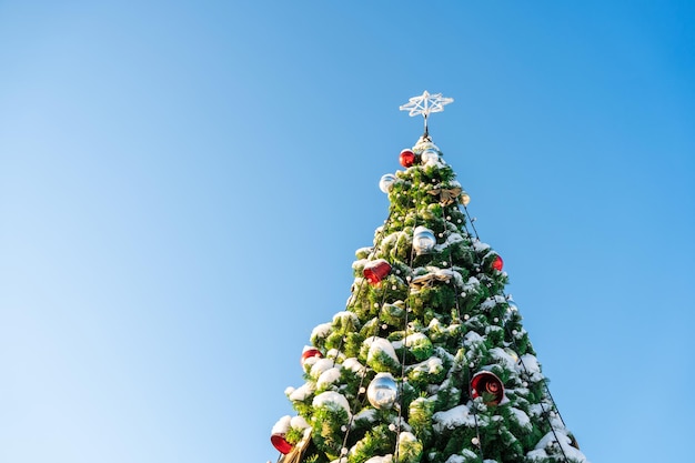 青空の背景に雪で覆われた飾られたクリスマスツリー