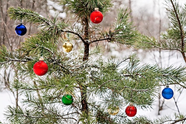 Decorated Christmas tree in a snowy pine forest