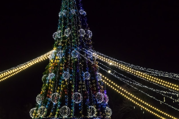 夜に色とりどりのライトで飾られたクリスマスツリー