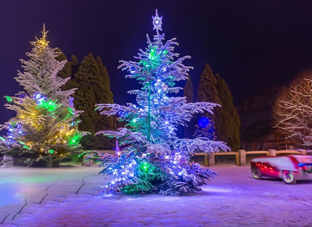 Decorated christmas tree