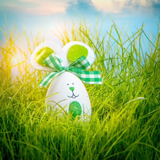 Decorated easter eggs in the grass on blue sky background